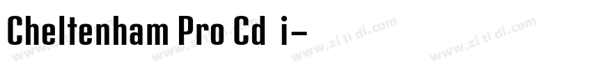 Cheltenham Pro Cd Li字体转换